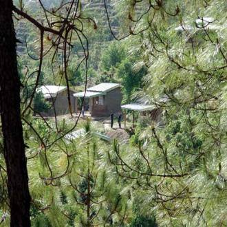 20 Acre Organic Farm Overlooking Almora, Nainital 3
